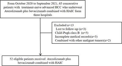 Efficacy and safety of atezolizumab plus bevacizumab combined with hepatic arterial infusion chemotherapy for advanced hepatocellular carcinoma